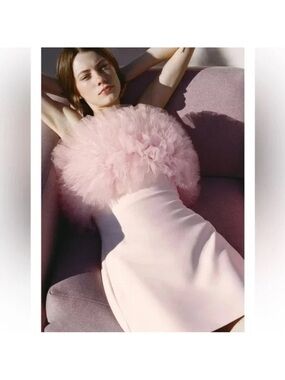 Zara Ruffled Tulle Mini Dress